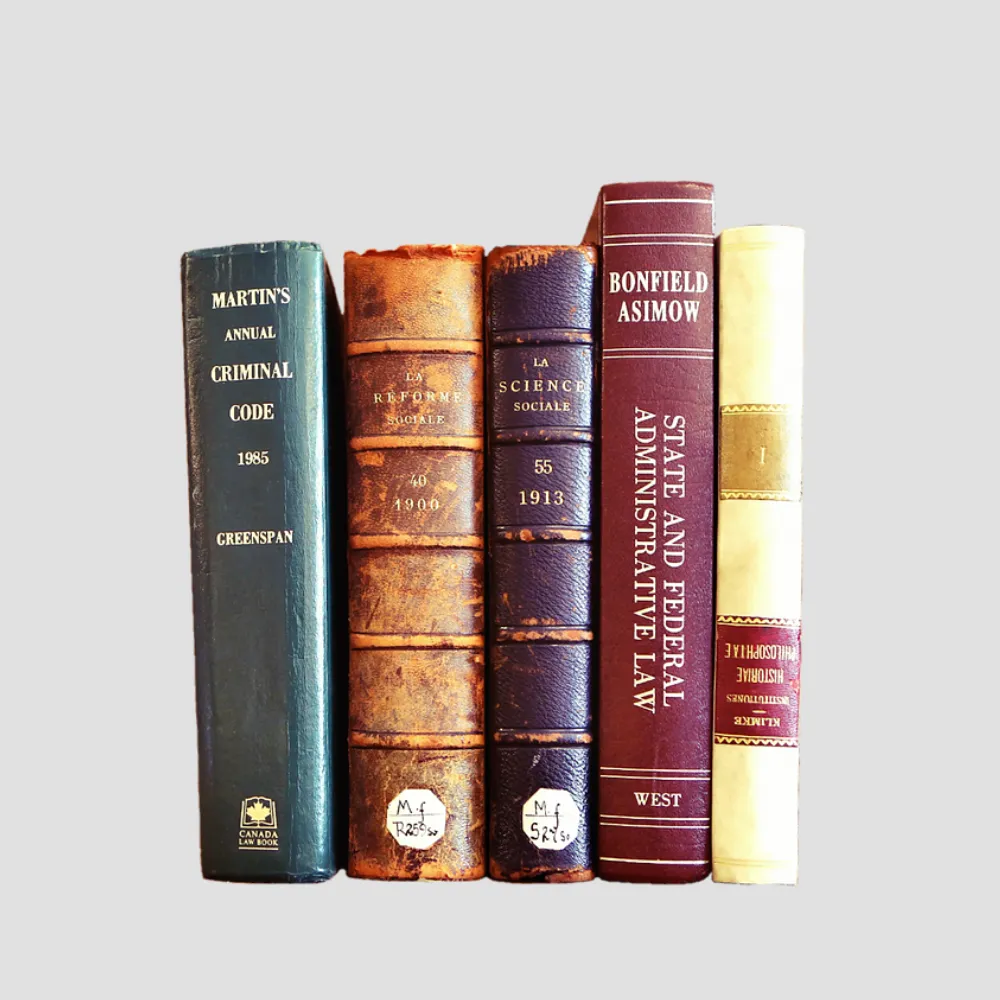 The Last Train Home: A Tale of Redemption - Image 5